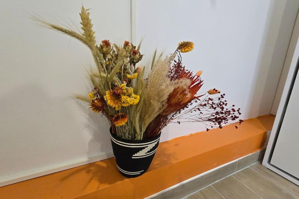 Studio Luxorange Massy  Luaran gambar